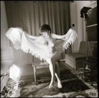 Különböző helyszíneken, eltérő időpontokban, több fotómodell közreműködésével készült aktfelvételek,...