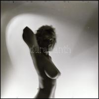 Több fotómodell közreműködésével, különböző helyszíneken és eltérő időpontokban, készült aktfelvétel...