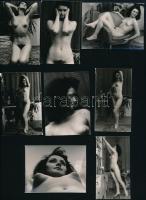 cca 1977 Marinkay István (1920-?) veszprémi fotóművész hagyatékából 13 db aktfotó (lakásban), 6,7x8,7 cm és 9x4,8 cm között