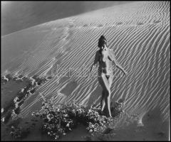 cca 1979 Vincze János (1922-1999) kecskeméti fotóművész hagyatékából, szolarizált DIAPOZITÍV, a homok asszonyáról, 4,6x5,5 cm