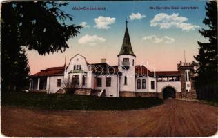 Alsógyékényes, Alsó-Gyékényes, Jichisu de Sus; Báró Horváth Emil udvarháza, kastély. Gálócsi Samu kiadása / castle, mansion (kopott sarkak / worn corners)