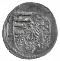 1497-1503. Obolus Ag "II. Ulászló" (0,22g) T:2
Hungary 1497-1503. Obol Ag "Wladislau...