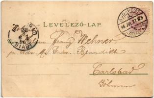 1896 (Vorläufer!!!) Budapest XIV. Az Ezredéves Kiállítás kocsicsarnoka, Kiállítási falu, Egészségügy...