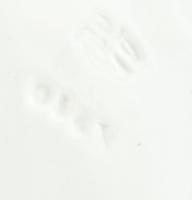 Jugendstil fajanszbetétes fém, füles tálca, jelzett, kopott, 40x10,5cm