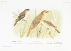 Chernel István: Magyarország madarai I-III. (I.,II/1.-2.) köt. Állami Könyvterjesztő Vállalat reprin...