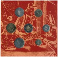 2001. 1Ft-100Ft (7xklf) forgalmi sor dísztokban, "Magyarország pénzérméi" sorozat T:BU pat...