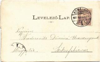 1901 Komárom, Komárnó; Vashíd. Czike Dénes kiadása / bridge (vágott / cut)