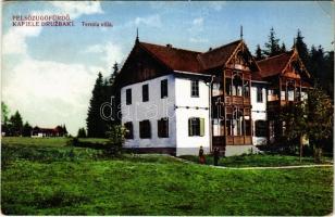 Felsőzúgó-fürdő, Ruzsbachfürdő, Bad Ober Rauschenbach, Kúpele Vysné Ruzbachy; Terezia villa / villa (EK)