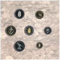 2008. 1Ft-100Ft (7xklf) "Búcsú az egy- és kétforintostól" forgalmi sor szettben T:PP patin...