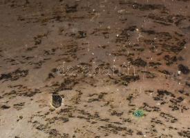 Ezüst (Ag) nagy méretű füles tálca 4 db mokkás csészével, benne üvegbetét. Jelzett. Kopott. Nettó: 1...