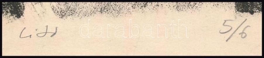 Szabó Ábel (1974 - ) : Áldás. Litográfia, papír. Jelzett. Sorszámozott 6/5. 18x26 cm