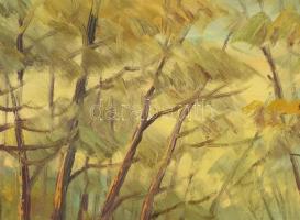 Réti Mátyás (1922-2002): Patak. Olaj, farost, jelzett. Hátoldalán autográf felirattal. Dekoratív fa ...