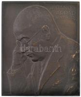 Róna József (1861-1939) ~1933. "Dr. Dános Árpád 1882-1933" egyoldalas bronz plakett (63x53mm) T:1-