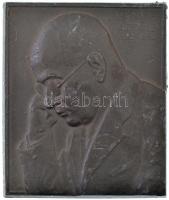 Róna József (1861-1939) ~1933. "Dr. Dános Árpád 1882-1933" egyoldalas Sn plakett, vastagabb (6mm magas) (63x53mm) T:2