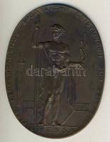 Német Birodalom/Weimari Köztársaság 1926 "Nemzetközi Sajtókiállítás Köln-Sportteljesítményekért" nagyalakú ovális Br díjérem?!/plakett?! T2