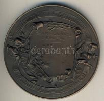 Franciaország 1935 "Nemzetközi Evezős Szövetség-Berlin EB" nagyalakú Br díjérem T2
