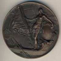 Franciaország 1935 "Nemzetközi Evezős Szövetség-Berlin EB" nagyalakú Br díjérem T2