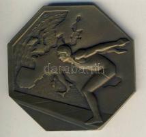 Franciaország 1931 "Vizipoló EU-bajnokság" nyolcszögletű nagyalakú Br díjérem szignó E. Fraisse T2