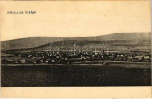 Mikóújfalu, Micfalau; látkép / general view (EK)