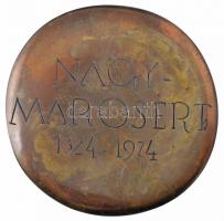 1974. "Nagymarosért 1324-1974" kétoldalas bronz plakett, eredeti tokban (~88mm) T:1-
