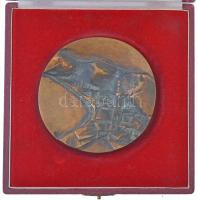 1974. "Nagymarosért 1324-1974" kétoldalas bronz plakett, eredeti tokban (~88mm) T:1-