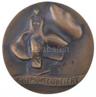 1987. "Közművelődésért" egyoldalas bronz kitüntető plakett, hátoldalon gravírozva, tokban....