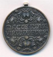 Berán Nándor (1889-1965) 1935. "Magyar Vöröskereszt Ifjúsági Osztálya" fém kitüntetés mell...