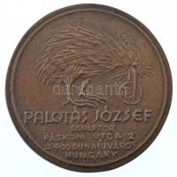 Palotás József (1947- ) DN Palotás József sculptor Páskom utca 2 2400 Dunaújváros Hungary egyoldalas, öntött bronz névjegyérem (62mm) T:1-