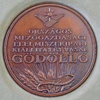 1996. / Országos Mezőgazdasági Élelmiszeripari Kiállítás és Vásár - Gödöllő bronz emlékérem, OMÉK emléklapos, bársony borítású mappában (42,5mm) T:1-