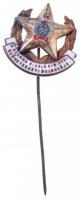 1949-1956. A szakma kiváló kisipari szövetkezeti dolgozója zománcozott, Rákosi-címeres kitüntető jelvény (21x21mm) T:1-,2 patina