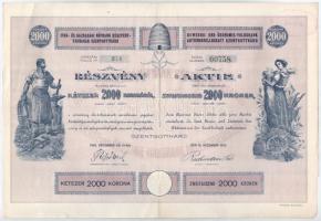 Szentgotthárd 1923. "Ipar- és Gazdasági Népbank Részvénytársaság Szentgotthárd" részvénye 2000K-ról, szárazpecséttel, bélyegzéssel, szelvényekkel T:II,II-