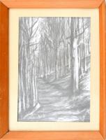 Jelzés nélkül: Erdőrészlet. Ceruza, papír. Üvegezett, kissé kopott fa keretben, 37x25,5 cm