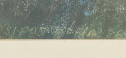 Sipos Zsófia (1931-2018): Portré. Pasztell, papír, jelzett. Üvegezett fa keretben. 48,5x33,5 cm