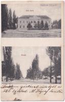 1910 Bős, Böös, Gabcíkovo; Katolikus iskola, Fő utca. Strasser Dávid kiadása / Catholic school, main street (fl)