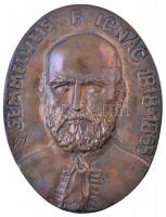 1968. Semmelweis F. Ignác 1818-1865 / Siófoki Kórház 1968 kétoldalas, öntött bronz plakett, eredeti tokban. Szign.: V.I. (139x106mm) T:1-