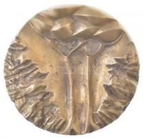 Asszonyi Tamás (1942-) 1974. Eredményes fásításért MÉM kétoldalas, öntött bronz emlékérem (98mm) T:2