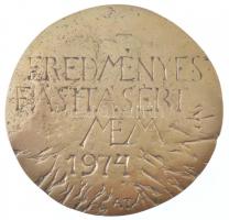 Asszonyi Tamás (1942-) 1974. "Eredményes fásításért MÉM" kétoldalas, öntött bronz emlékére...