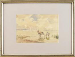 Edvi Illés Aladár (1870-1958): Szamárkordé a Balatonban. Akvarell, ceruza, papír. Jelzett. Üvegezett fa keretben. 16,5x23 cm