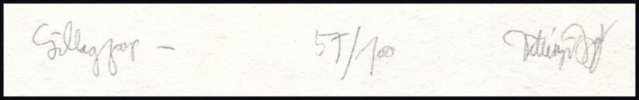 Vetlényi Zsolt (1967-): Csillagpor. Rézkarc, merített papír, jelzett, számozott: 55/100, 15,5×10 cm