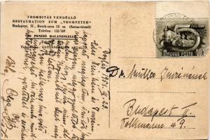 Balatonlelle, a budapesti Trombitás vendéglő penziója, kert, kert (vágott / cut)