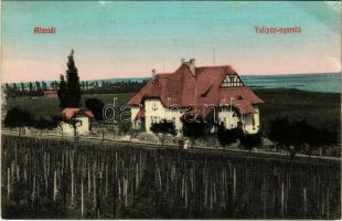 1909 Balatonalmádi, Almádi; Tulipán nyaraló, szőlőskert. Balatoni Szövetség kiadása (EK)