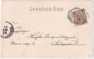 1899 (Vorläufer) Sopron, Várkerület. Art Nouveau, litho (vágott / cut)