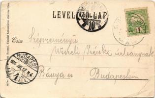 1906 Tusnádfürdő, Baile Tusnad; nyaralók. Adler Alfred fényképész / villas. Art Nouveau (EB)