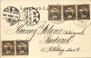 1905 Kevepallós, Plosica, Plocica, Ploschitz; Német templom és iskola. F. Mildner Temes-Kubin / Deut...