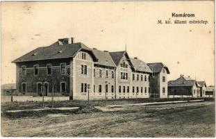 1914 Komárom, Komárnó; Magy. kir. állami méntelep / stud farm, stallion