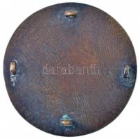 Zutt Richárd (1887-1938) 1916. A Debreceni Egyetem öntött bronz sapkajelvénye, hátoldalán négy darab...