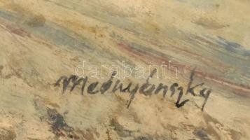 Mednyánszky jelzéssel: Havas táj. Olaj, vászon. Üvegezett, sérült fa keretben. 24,5×32,5 cm