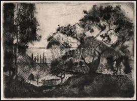 Jelzés nélkül: Táj. Rézkarc, papír. Lap széle sérült. Sérült, foltos paszpartuban. 13×17,5 cm