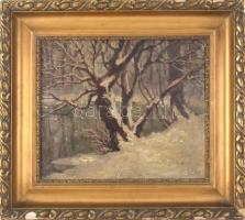 Szüts Sándor, Cecei (Czecei, 1887-1942): Havas táj. Olaj, karton. Jelzett. Dekoratív, sérült fa keretben, 39,5×47,5 cm