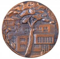 Brém Ferenc (1927-1988) DN Ács egyoldalas, öntött bronz plakett (101mm) T:2